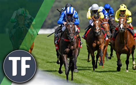 timeform results